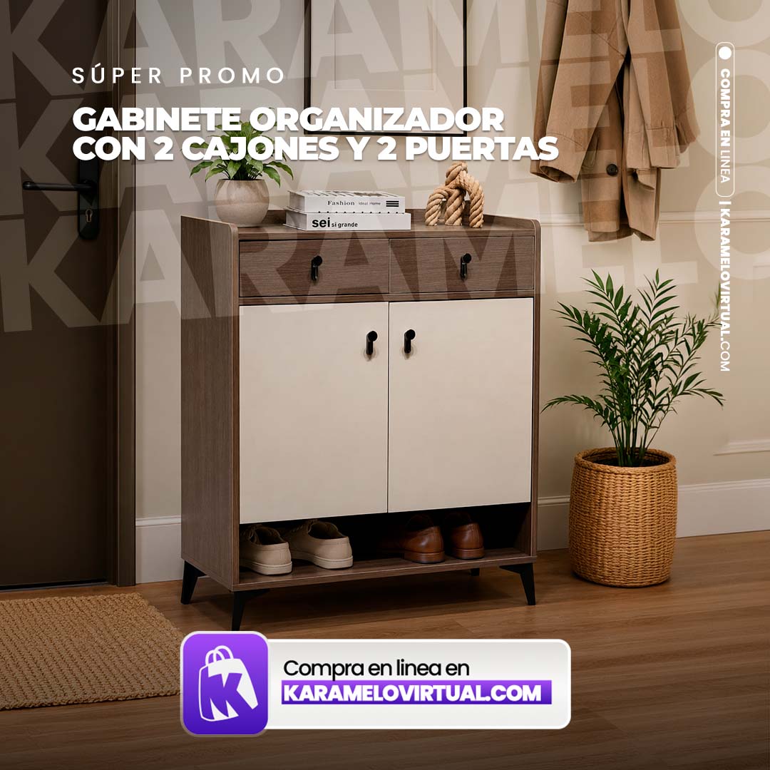 GABINETE ORGANIZADOR CON 2 CAJONES Y 2 PUERTAS