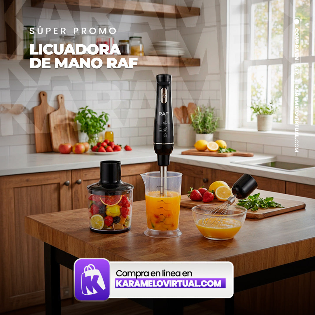 LICUADORA DE MANO RAF